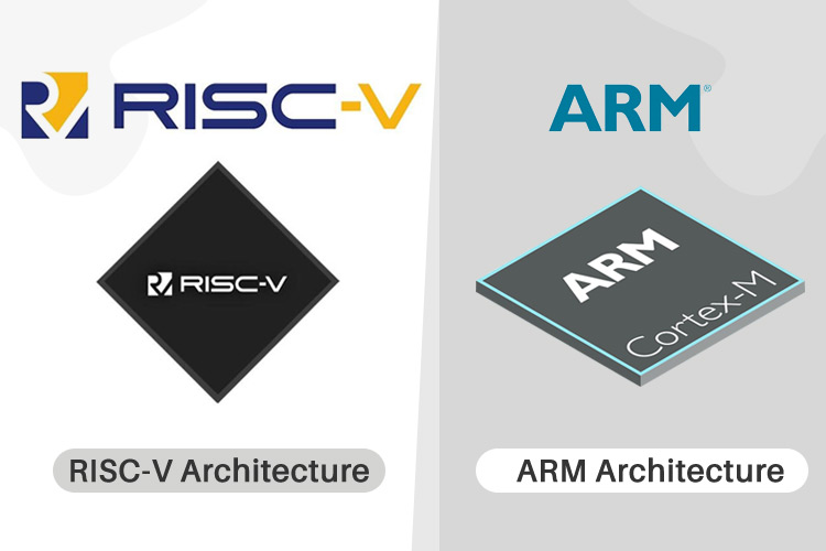 RIsc V and ARMs are 2 processors